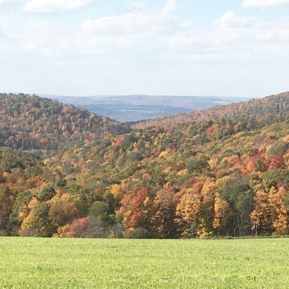 💖Meet your Posher, Eva Like my Closet to Follow! - Picture 9 of 16